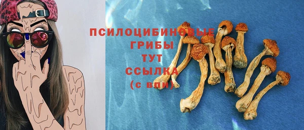 твердый Абинск